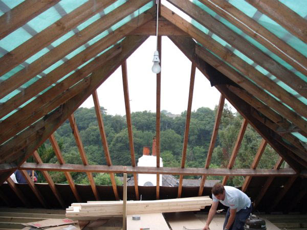 Bare rafters at the start of a loft conversion, with a view over trees